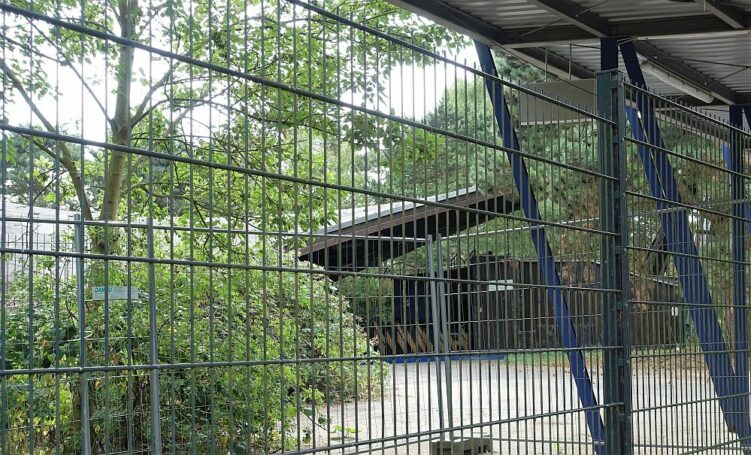 CDU Info-Tour Westfalenpark 01082018 (18)