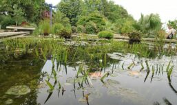 CDU Info-Tour Westfalenpark 01082018 (23)