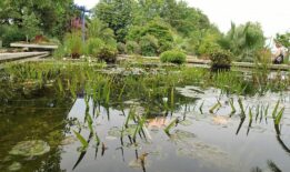 CDU Info-Tour Westfalenpark 01082018 (23)