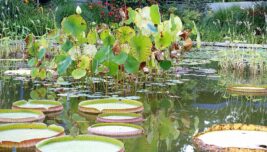 CDU Info-Tour Westfalenpark 01082018 (27)