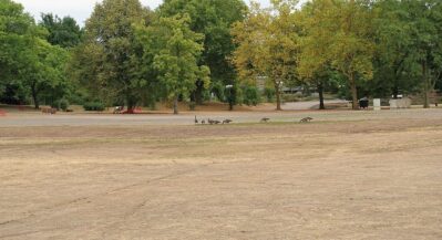 CDU Info-Tour Westfalenpark 01082018 (7)