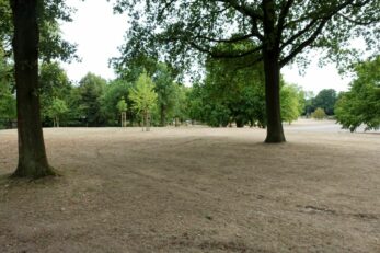 CDU Info-Tour Westfalenpark 01082018 (9)