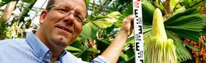 Dr. Patrick Knopf, Direktor Botanischer Garten Rombergpark, zeigt David, den Dortmunder Titanwurz.
