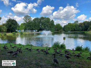 Der Freundeskreis kümmert sich seit 25 Jahren um die Attraktivierung des Fredenbaumparks. Foto: Alex Völkel