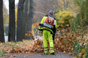 Zum Einsatz kommen außerdem 82 Laubblasgeräte, davon 18 Elektrogeräte.