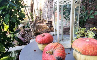 Lerngarten Tafel Kindergarten Pflanzen (10)