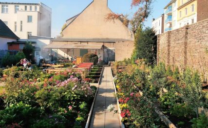 Lerngarten Tafel Kindergarten Pflanzen (11)
