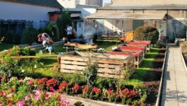 Lerngarten Tafel Kindergarten Pflanzen (12)