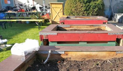 Lerngarten Tafel Kindergarten Pflanzen (13)