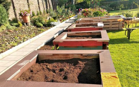 Lerngarten Tafel Kindergarten Pflanzen (16)