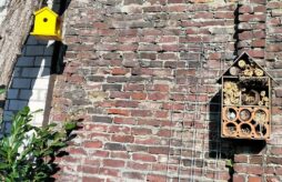 Lerngarten Tafel Kindergarten Pflanzen (19)