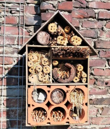 Lerngarten Tafel Kindergarten Pflanzen (20)
