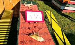 Lerngarten Tafel Kindergarten Pflanzen (22)