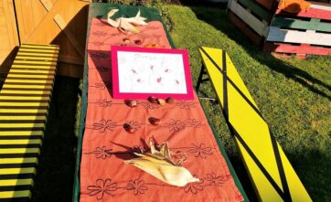 Lerngarten Tafel Kindergarten Pflanzen (22)