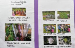 Lerngarten Tafel Kindergarten Pflanzen (26)