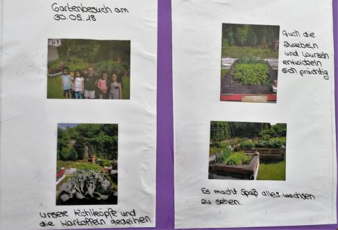 Lerngarten Tafel Kindergarten Pflanzen (27)