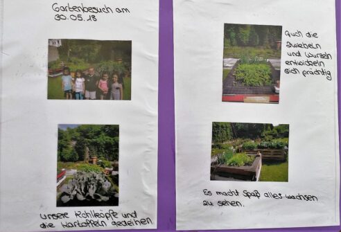 Lerngarten Tafel Kindergarten Pflanzen (27)