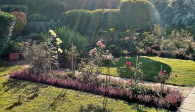 Lerngarten Tafel Kindergarten Pflanzen (32)
