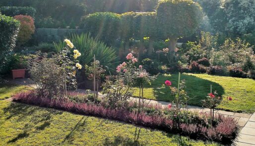Lerngarten Tafel Kindergarten Pflanzen (32)