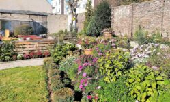 Lerngarten Tafel Kindergarten Pflanzen (33)