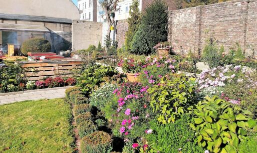 Lerngarten Tafel Kindergarten Pflanzen (33)