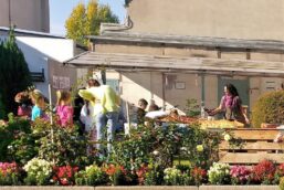Lerngarten Tafel Kindergarten Pflanzen (34)
