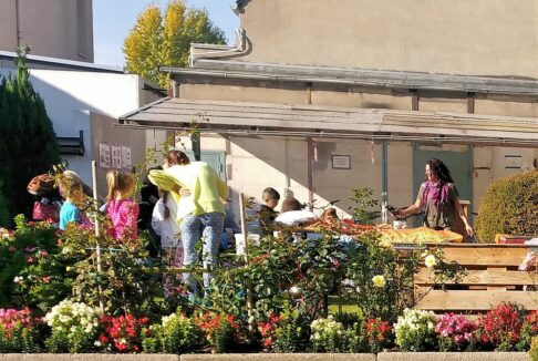 Lerngarten Tafel Kindergarten Pflanzen (34)