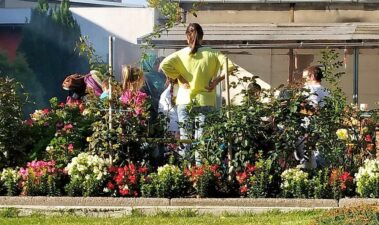 Lerngarten Tafel Kindergarten Pflanzen (35)