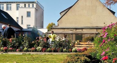 Lerngarten Tafel Kindergarten Pflanzen (36)