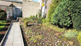 Lerngarten Tafel Kindergarten Pflanzen (4)