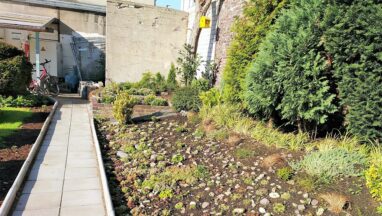 Lerngarten Tafel Kindergarten Pflanzen (4)