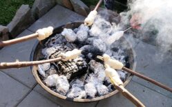 Lerngarten Tafel Kindergarten Pflanzen (41)