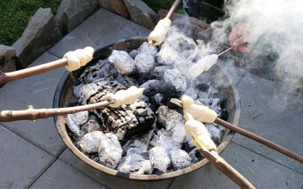 Lerngarten Tafel Kindergarten Pflanzen (41)