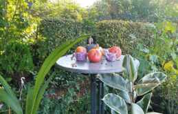 Lerngarten Tafel Kindergarten Pflanzen (6)