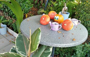 Lerngarten Tafel Kindergarten Pflanzen (7)