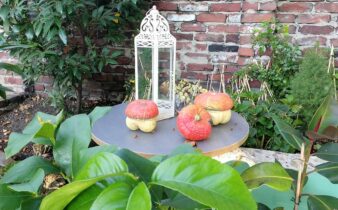 Lerngarten Tafel Kindergarten Pflanzen (9)