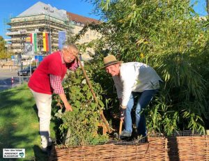 Die Initiative „Garten statt ZOB“ kümmert sich seit Jahren um ein kleines Beet. Foto: Alex Völkel