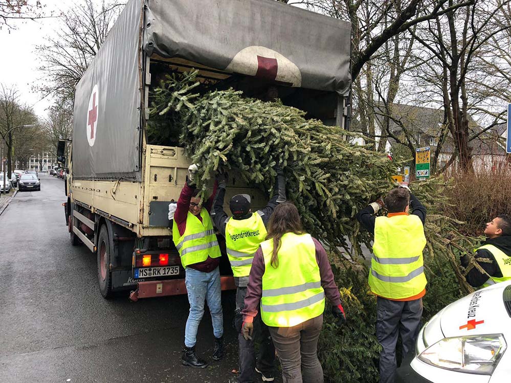 Jugendrotkreuz sammelte Tannenbäume ein Am vergangenen Samstag sammelte die EDG wie jedes Jahr die ausgedienten Weihnachtsbäume aus den Dortmunder Haushalten ein. Unterstützt wird die EDG dabei unter anderem vom Jugendrotkreuz (JRK). Die Ersten der rund 80 ehrenamtlichen Helfer vom JRK und aus den DRK Gemeinschaften trafen sich bereits um 6:00 Uhr morgens. Von 8:00 bis 18:00 Uhr klapperten die Helfer unter der Leitung von Jörg Aderholz und Jan Mühlhaus mit PKW, LKW und einem Presswagen sieben Sammelgebiete ab. Das JRK bekochte und verpflegte die fleißigen Rotkreuzler bei ihrem Einsatz. Die jüngsten JRK Helfer bei der Tannenbaumsammelaktion waren übrigens gerade mal 13 Jahre alt. Doch trotz des frühen Einsatzbeginns und der Anstrengungen waren alle mit viel Freude dabei.