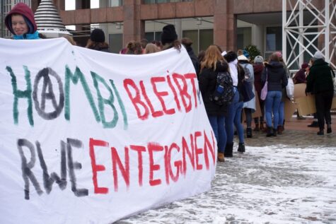 Friday for Future 01022019 (23)