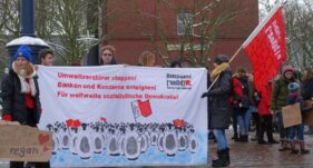 Friday for Future 01022019 (7)