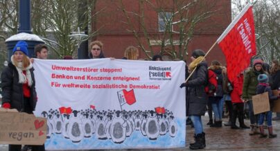 Friday for Future 01022019 (7)