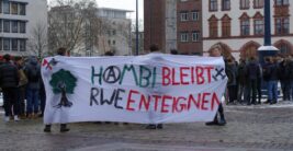 Friday for Future 01022019 (8)