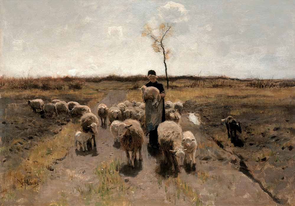 Anton Mauve (1838-1888): Das neugeborene Lamm, um 1884. Öl auf Leinwand, 50 x 70 cm. Sammlung Singer Laren