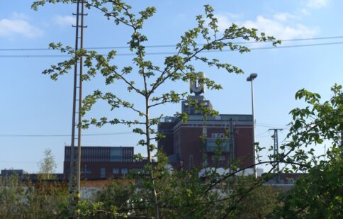 Bürgerbeteiligung HBF Nordausgang Bahnhofsumfeld (53)