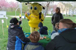 Osterhasenrallye mit 340 Kindern Am 11. April organisierte der Runden Tisch „BVB und Borsigplatz“ auf der Heroldwiese in der Straße Oestermärsch nach der erfolgreichen Premiere im Vorjahr die zweite Osterhasenrallye. „Diesmal wurden die Erwartungen übertroffen, mit so viel Beteiligung hatten wir nicht gerechnet“, freute sich Veit Hohfeld, der für den Verein Stadtteil-Schule Dortmund e.V. am Runden Tisch sitzt. Er ist zudem Sprecher des Gesprächskreises Borsigplatz. Dieser hatte mit Vertreter/innen von Stern im Norden e.V., des Mädchen und Frauentreffs der Stadtteil-Schule, der ConSol Dortmund gGmbH, der Vincenz-Jugendhilfe, den Kings Kids, des Familienzentrums Dürener Straße und den städtischen Streetworkern einen Stationen-Lauf organisiert. Alle Kinder, die diesen absolviert hatten, bekamen eine Osterüberraschung, gespendet von der Fanshop Sweets GmbH & Co. KG, Herten. 340 Kinder belegten mit einer Laufkarte, dass sie die neun Stationen erfolgreich absolviert hatten. Hier gab es vom Kinderschminken über Dosenwerfen, Graffiti sprayen bis zum Torwandschießen diverse Spielaktionen. Zur Freude der Kinder gratulierte dazu die eigens angereiste Biene „Emma“. Der „Runde Tisch BVB und Borsigplatz“ besteht aus den folgenden Mitgliedern: Borsigplatz VerFührungen, Borussia Dortmund, Freundeskreis Hoeschpark, Gewerbeverein Borsigplatz, Hoesch-Museum, Kirche Heilige Dreifaltigkeit, Kocatepe Moschee, Stadtteil-Schule Dortmund, Evangelische Lydia- Kirchengemeinde, Machbarschaft Borsig 11, Fleischerei Zimmermann, GrünBau, St. Vincenz Jugendhilfe-Zentrum, Stiftung Soziale Stadt und Quartiersmanagement Nordstadt.