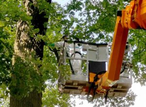 Neben vier Kolonnen von Firmen sind auch vier Trupps des Tiefbauamts im Einsatz. Fotos: Christian Schön