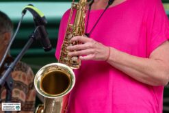 Musik.Kultur.Picknick 2019