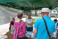 Musik.Kultur.Picknick 2019