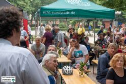 Musik.Kultur.Picknick 2019