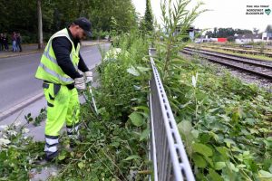 Die über das Modellprojekt bzw. die Soziale Teilhabe eingestellten Kollegen haben gute Chancen auf eine Übernahme in unbefristete Arbeitsverhältnisse.